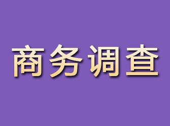 武隆商务调查